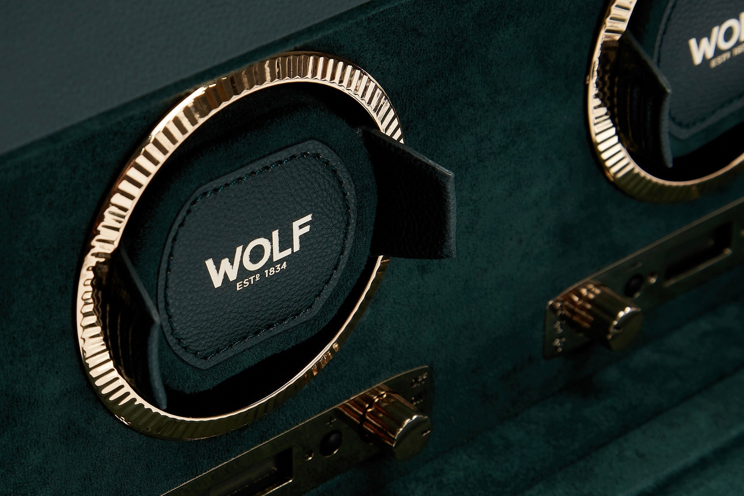 WOLF