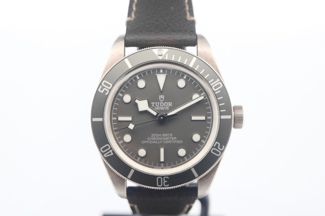 Tudor Black Bay "925 Silver"