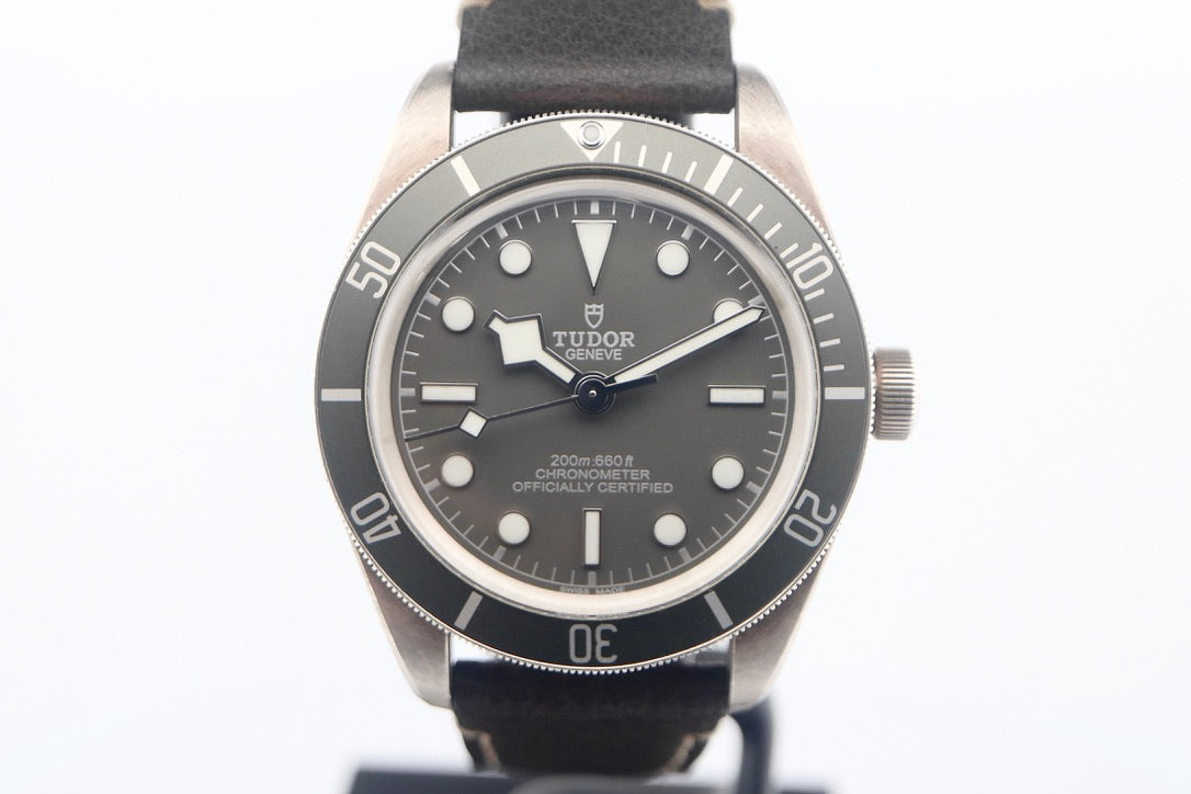 Tudor Black Bay "925 Silver"