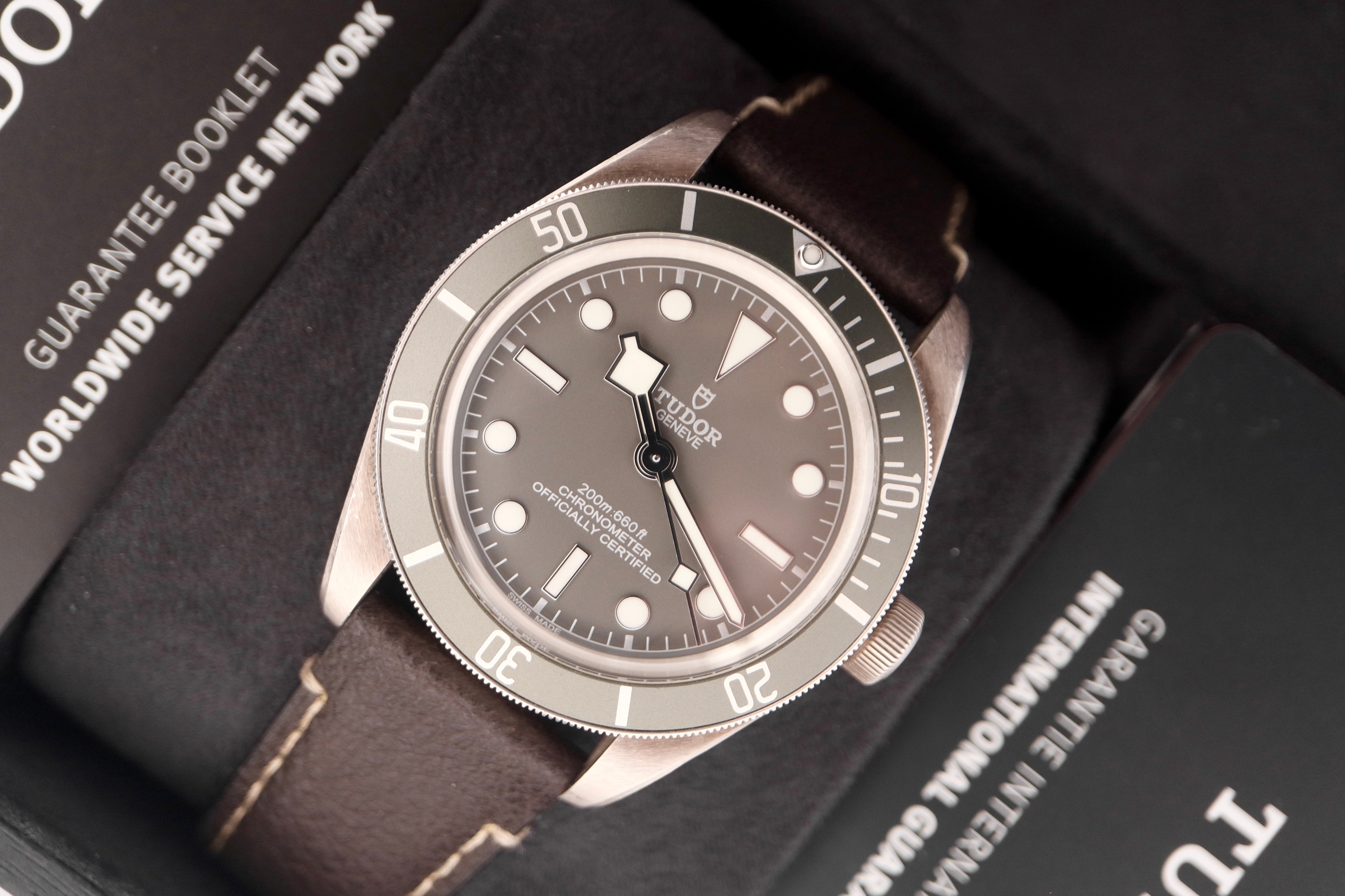 Tudor Black Bay "925 Silver"